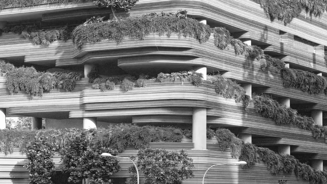 Navigating the Real Estate Landscape with Group DN